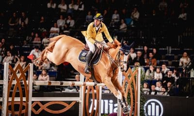 Na imagem, Yuri Mansur terminando o salto com seu cavalo.