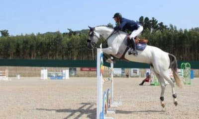 Felipe Guinato, Andalucía Sunshine Tour