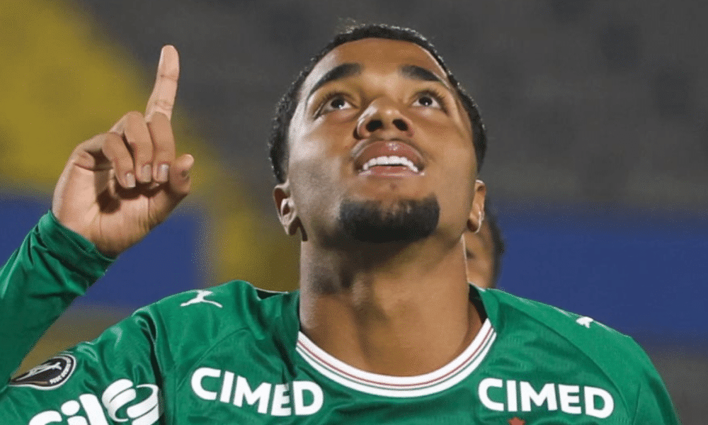 Palmeiras, promessa da base, heittor vinicius, libertadores sub-20