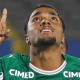 Palmeiras, promessa da base, heittor vinicius, libertadores sub-20