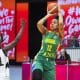 Pré-Mundial, Brasil, Basquete Feminino