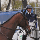 Pedro Backheuser é top 10 no Grand Prix do CSI4* de Arezzo (Foto: @nandaartmann)