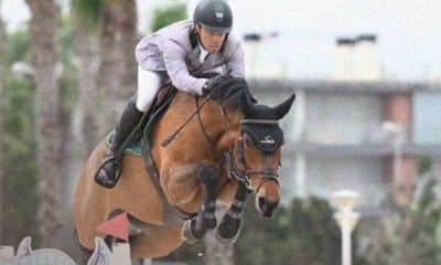 Na imagem, Stephan Barcha saltando obstáculo com seu cavalo.