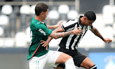 Botafogo, pALMEIRAS, bRASILEIRO sUB-20