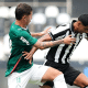 Botafogo, pALMEIRAS, bRASILEIRO sUB-20