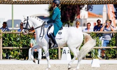 Na imagem, Manuel Tavares de Almeida, com seu cavalo, Hermes, durante os movimentos de adestramento.