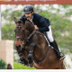 Sérgio Neuppmann Júnior hipismo saltos