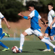cruzeiro, copa do brasil, brasileirão, athletico paranaense, coritiba, bragantino
