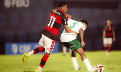 Flamengo, palmeiras, brasileiro sub-20, brasileirão