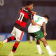 Flamengo, palmeiras, brasileiro sub-20, brasileirão