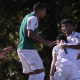Palmeiras vence e assume liderança do Brasileirão Sub-20 (Foto: Divulgação)