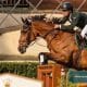 Stephan Barcha consegue 13º lugar e foi o melhor brasileiro no Grand Prix de Roma na prova de duas rodadas (1m45), no hipismo
